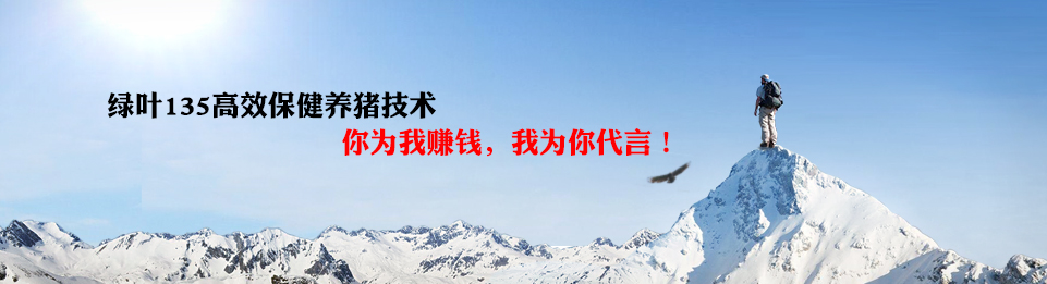 非洲豬瘟系統(tǒng)防控方案介紹