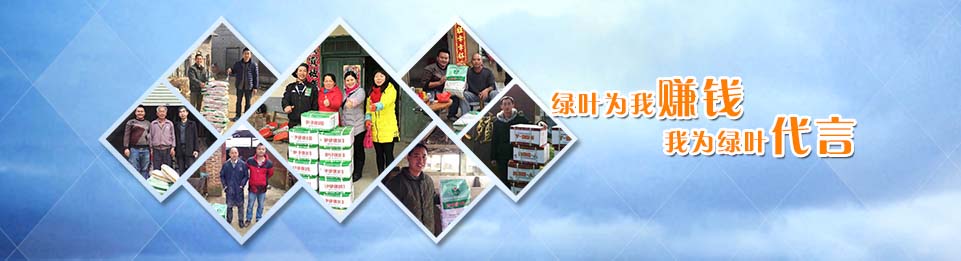 綠葉公司保健養(yǎng)豬技術(shù)及產(chǎn)品客戶使用反饋。